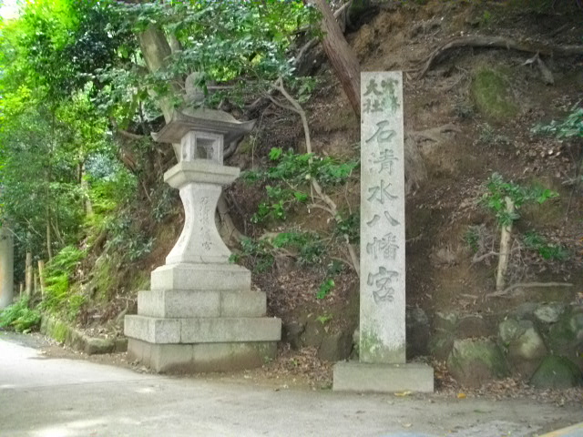 男山22
