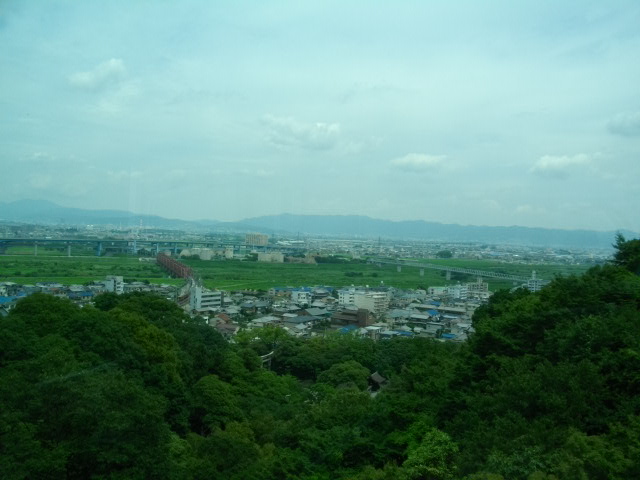 男山28