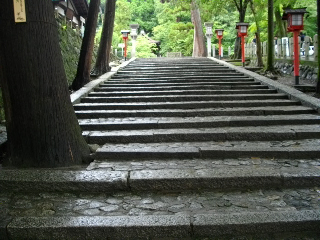 吉田山3