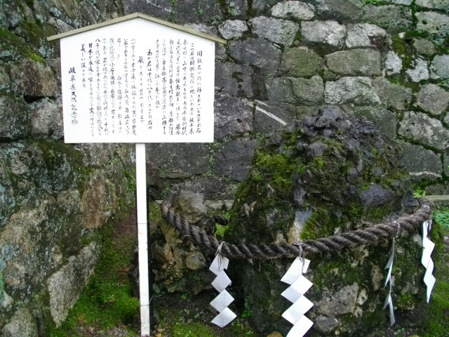 吉田山6