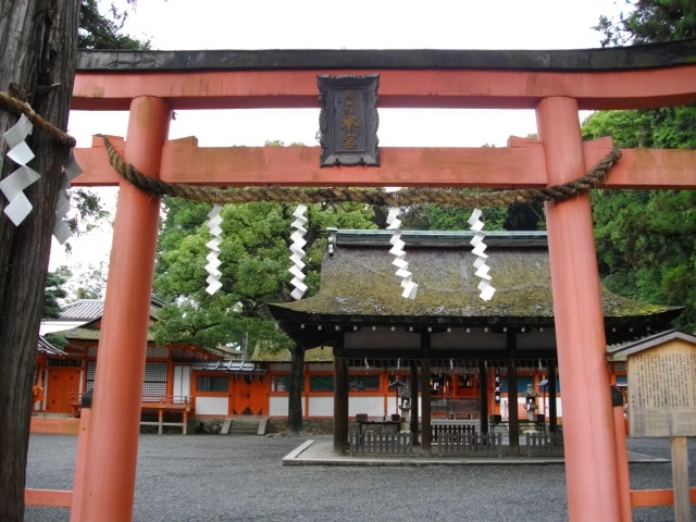 吉田山7