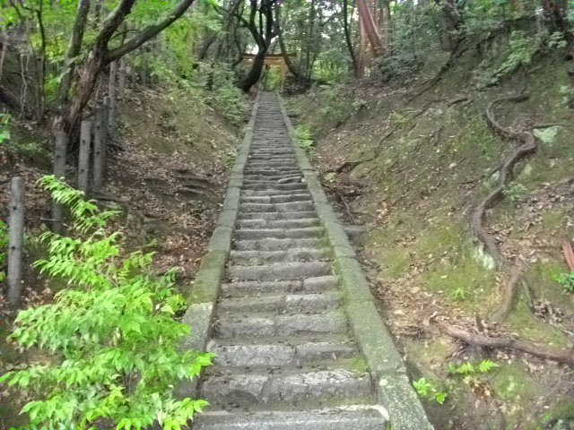 吉田山9