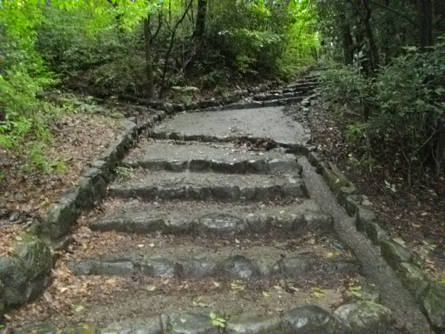 吉田山10