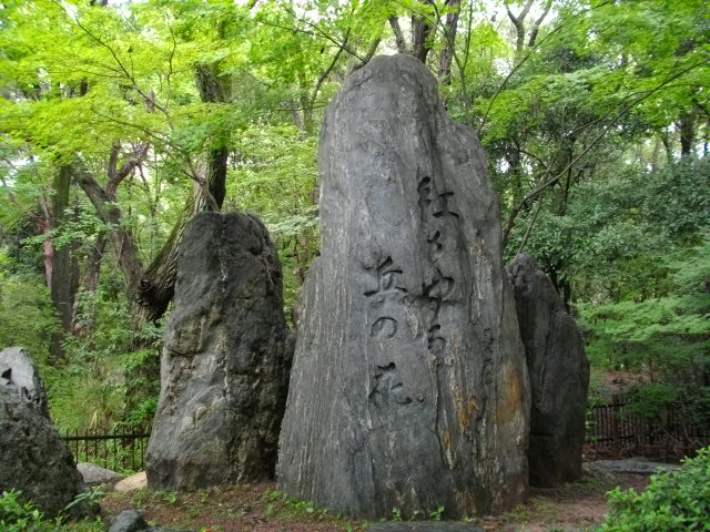吉田山13
