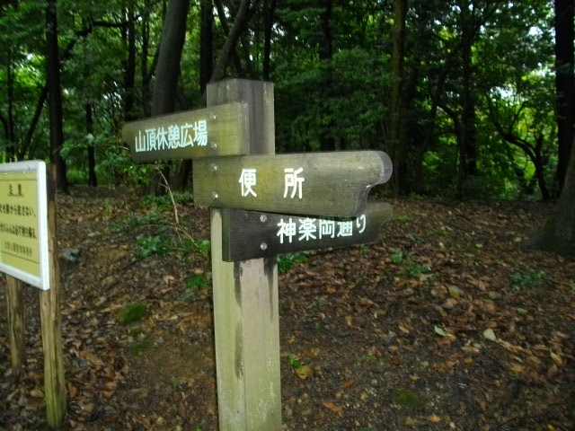 吉田山17
