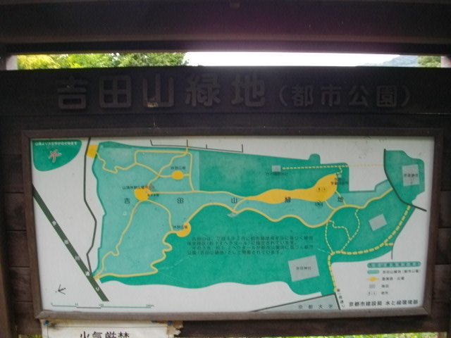 吉田山18