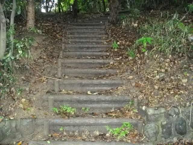 吉田山20