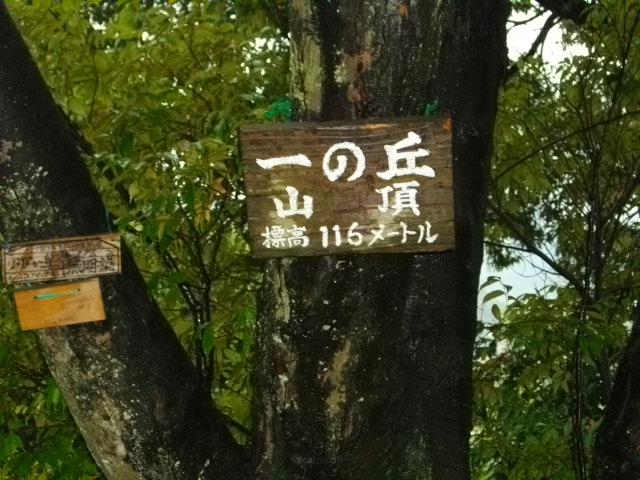 双ヶ丘11