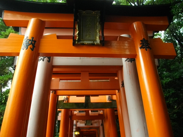 稲荷山8