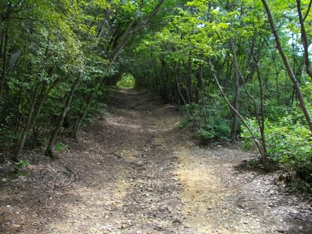 松ヶ崎14