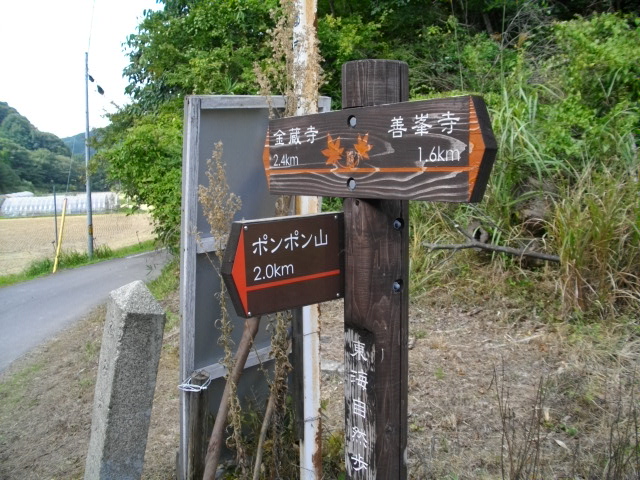 ポンポン山9