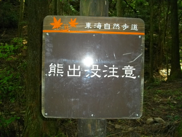 ポンポン山14