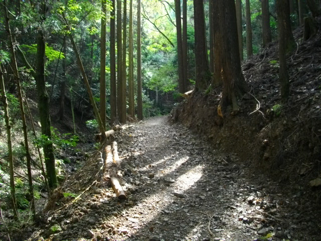 ポンポン山15