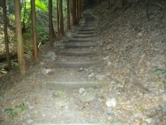 ポンポン山16