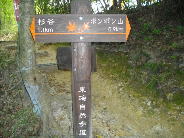 ポンポン山18