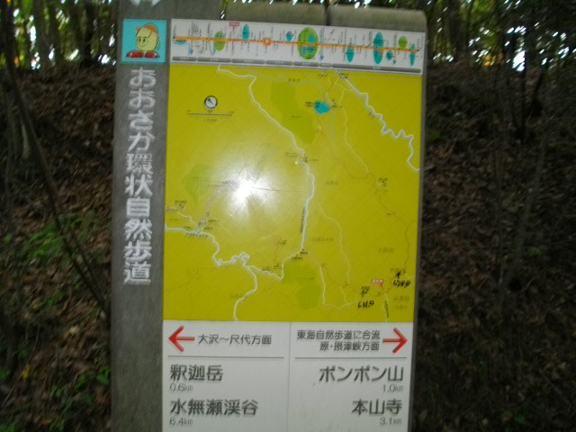 ポンポン山19