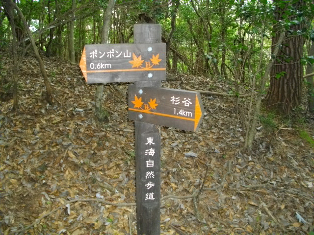 ポンポン山20