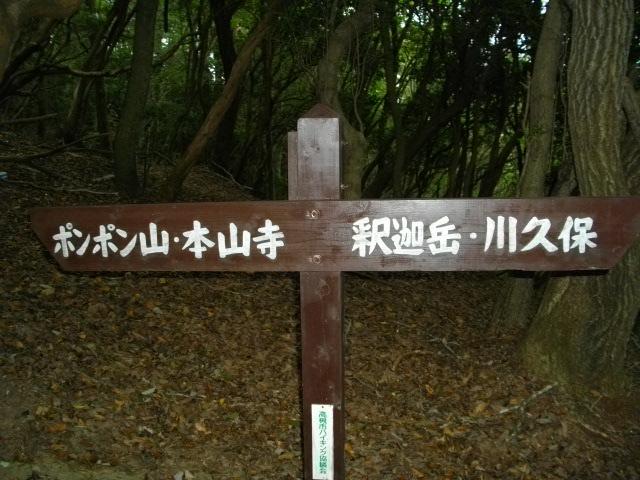 ポンポン山22