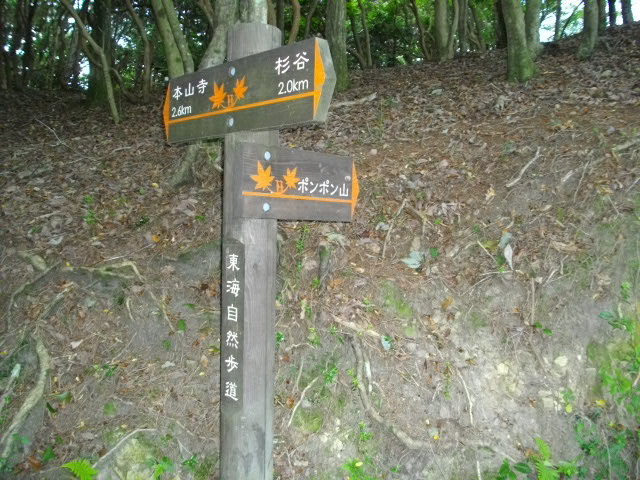 ポンポン山23
