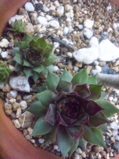 130519_180854.jpg