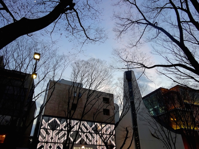 DSC00706.JPG
