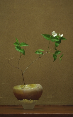 IMGP6675.jpg