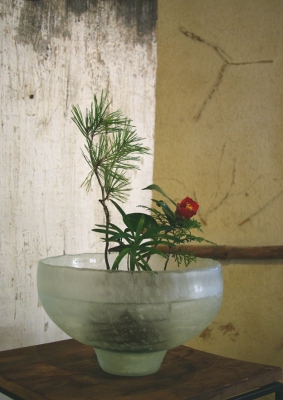 IMGP7634.jpg