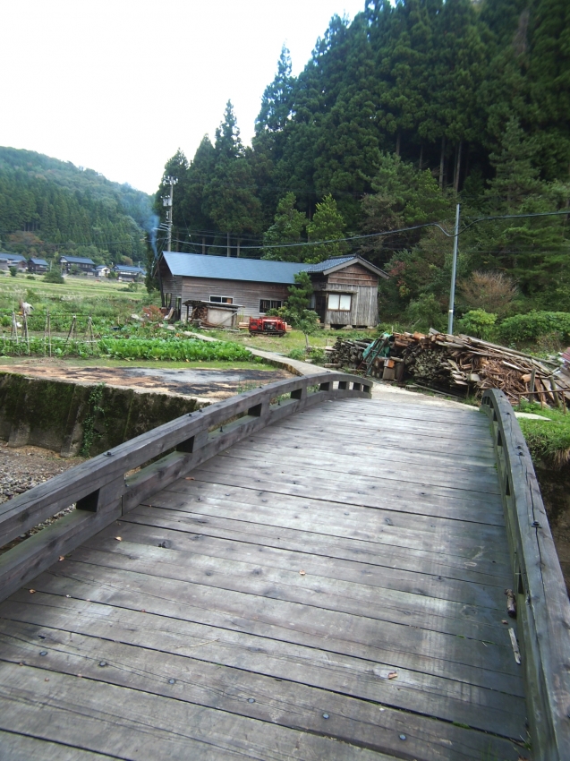 PA228993.jpg