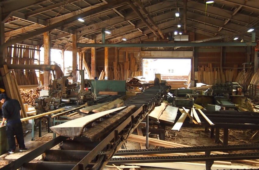 PA228950.JPG