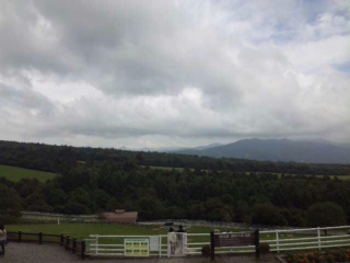 DVC00455.jpg