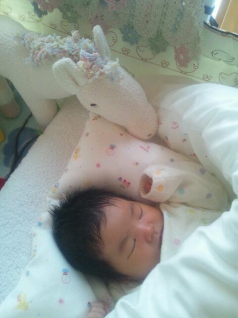 20120404_125455.jpg
