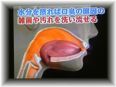 水で洗い流せば口臭は防げる