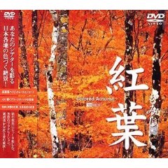 紅葉