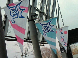 201011141224000.jpg