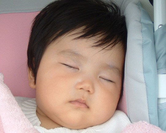 寝てるよ。