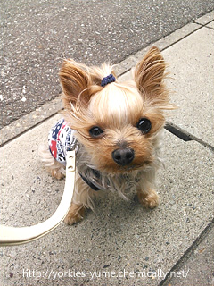 20140501.jpg