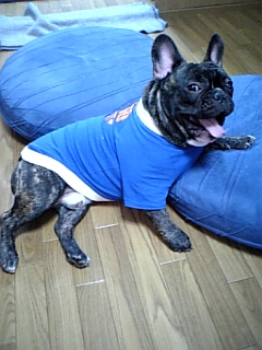 20061211_226500.jpg