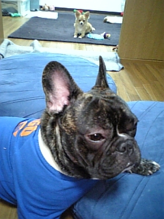 20061211_226504.jpg