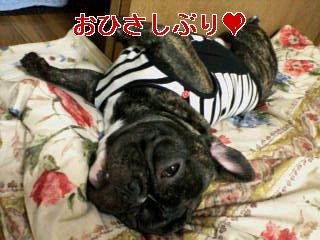 20070320_273992.jpg