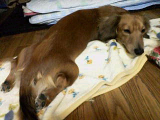 20070320_273995.jpg