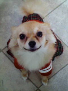 20070320_274006.jpg