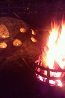 20110205_041027.jpg