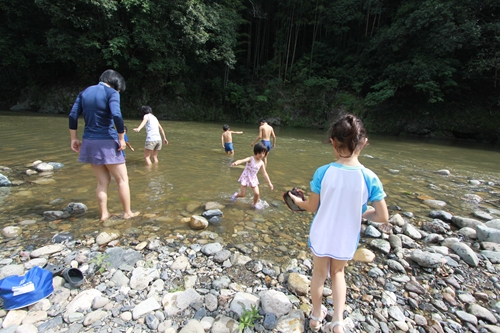 IMG_4266_R.JPG