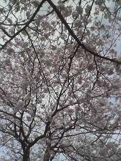 201004030944000.jpg