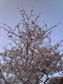 201004081711000.jpg