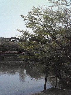 201004111259000.jpg