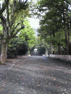 201004210642000.jpg