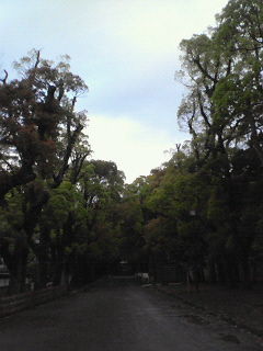 201004240653000.jpg