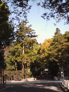 201004250708000.jpg
