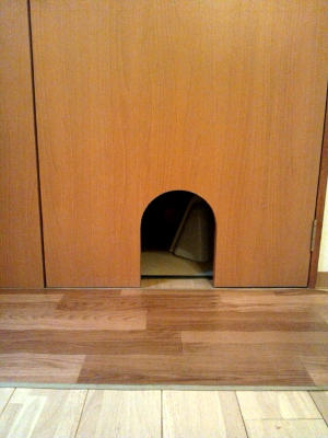 (株)建築士事務所民家 猫カフェ猫の箱の画像
